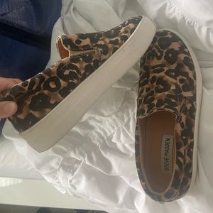 Leopard shoes steven madden